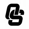 Oliver Stagil online coaching