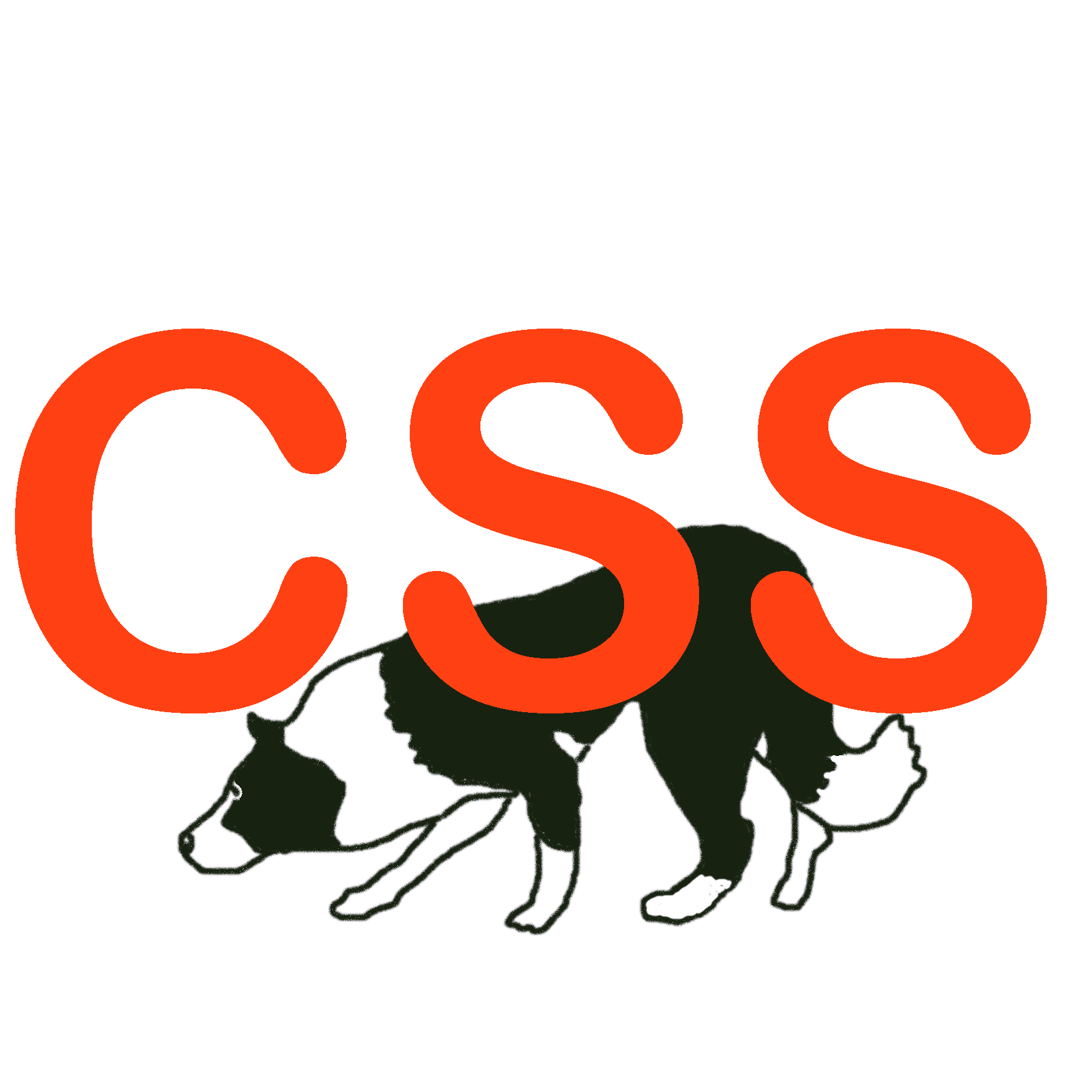 Continental Sheepdog Society
