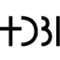 DANSK BIBEL-INSTITUT