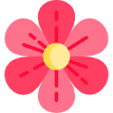 SOLVANG KOLONIHAGER