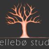 HELLEBØ STUDIO