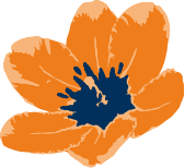 ROYAL DE REE HOLLAND B.V.