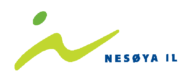 NESØYA IDRETTSLAG