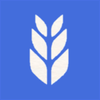HAUGE MICRO FINANCE AS