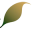 THE SAHARA FOREST PROJECT FOUNDATION STI