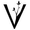 BRAND VALLEY AS