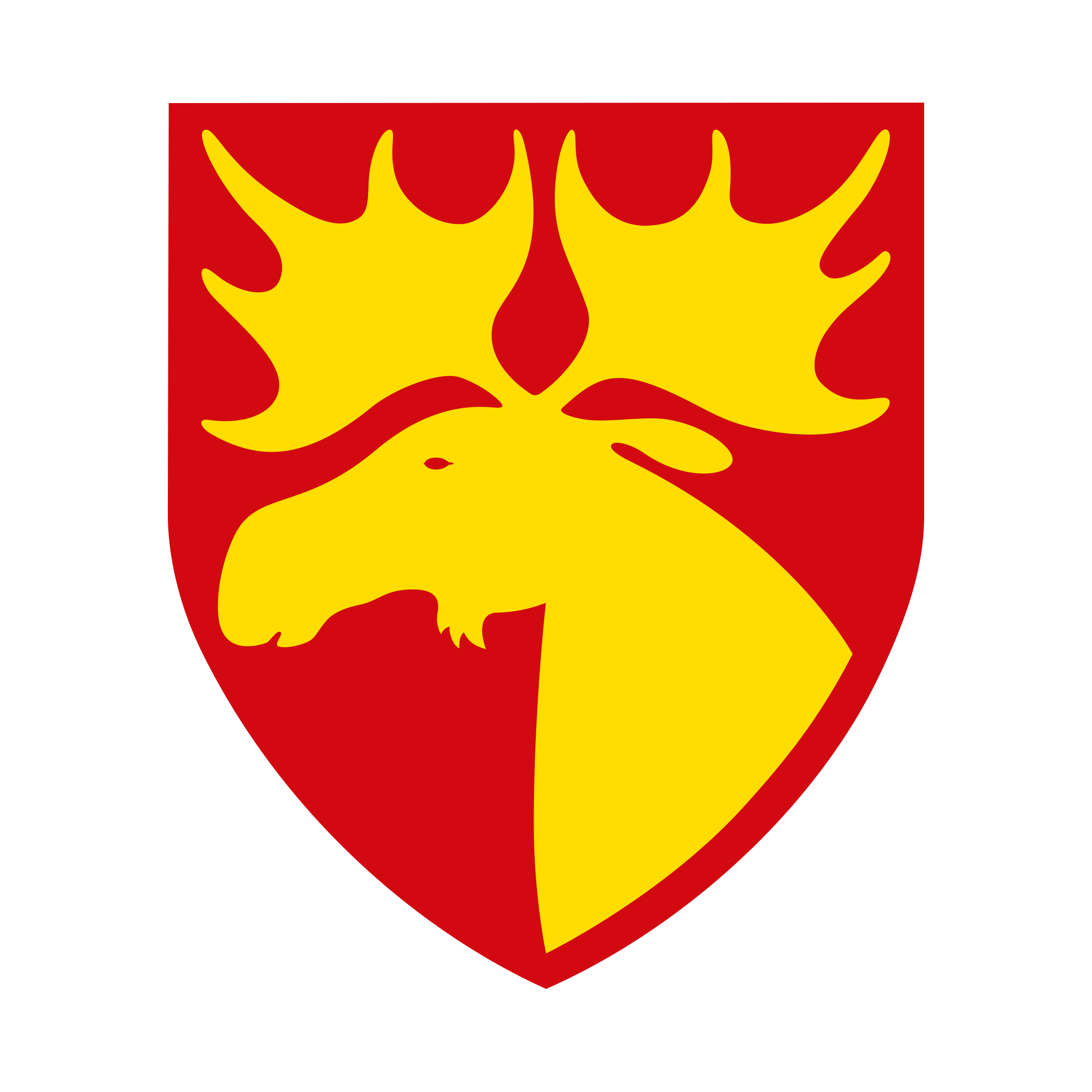 NAMSOS IDRETTSRÅD
