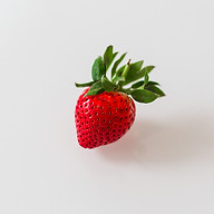 BRITT EMBRY FOTOGRAFI, TEKST & GRAFISK DESIGN