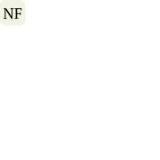 NYTT FORETAK AS