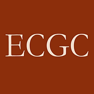 EUROPEAN CENTRE FOR GOVERNANCE IN COMPLEXITY