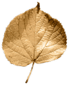 FLOW ENERGY AS