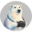 FOSHAUGEN MEDIA