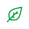 REGNSKAP GROUP AS