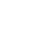 PIXII AS