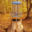 HORTEN DISCGOLF
