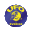 RINSORGANISATIONEN UFO-SVERIGE