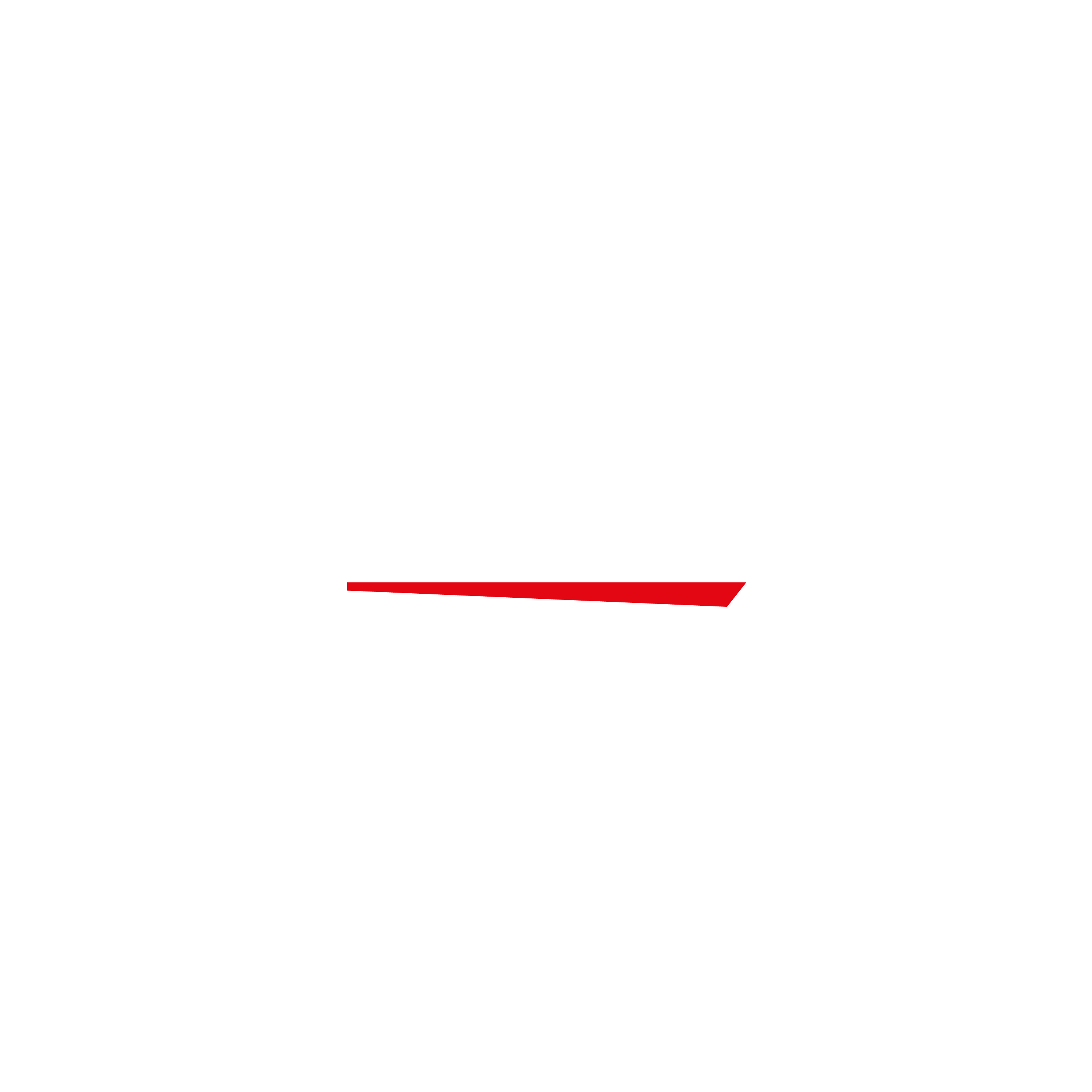 ELITE SIKKERHET AS