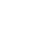 NORWEGIAN COUNTRY MUSIC ASSOCIATION