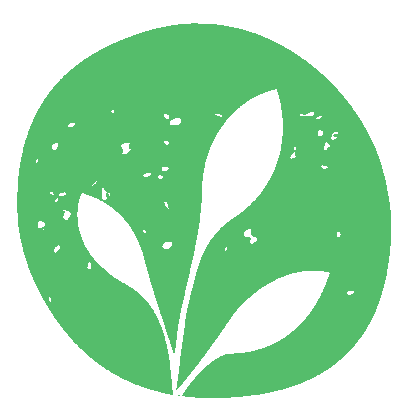 FLORA FOOD SWEDEN AB