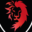 LIONS ACADEMY