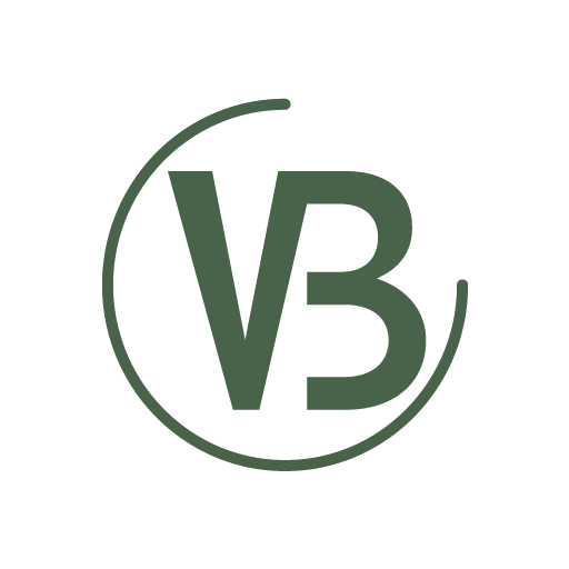 VISJON-BÆREKRAFT BENGT ZAKARIASSEN