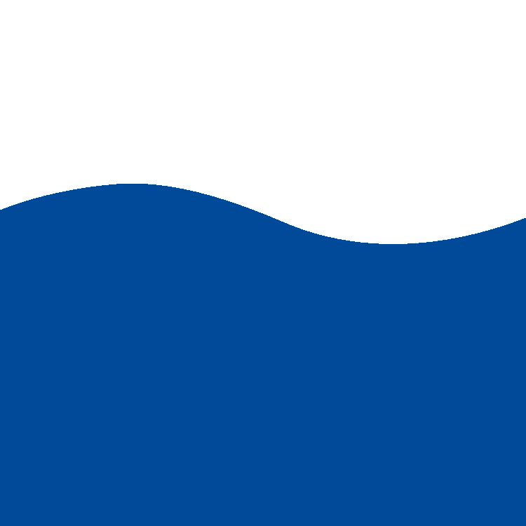 HOLLAND SHIP ELECTRIC B.V.