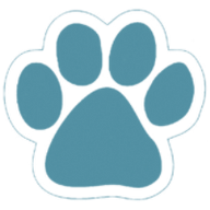 PAWESOME COLLARS AUSTHEIM