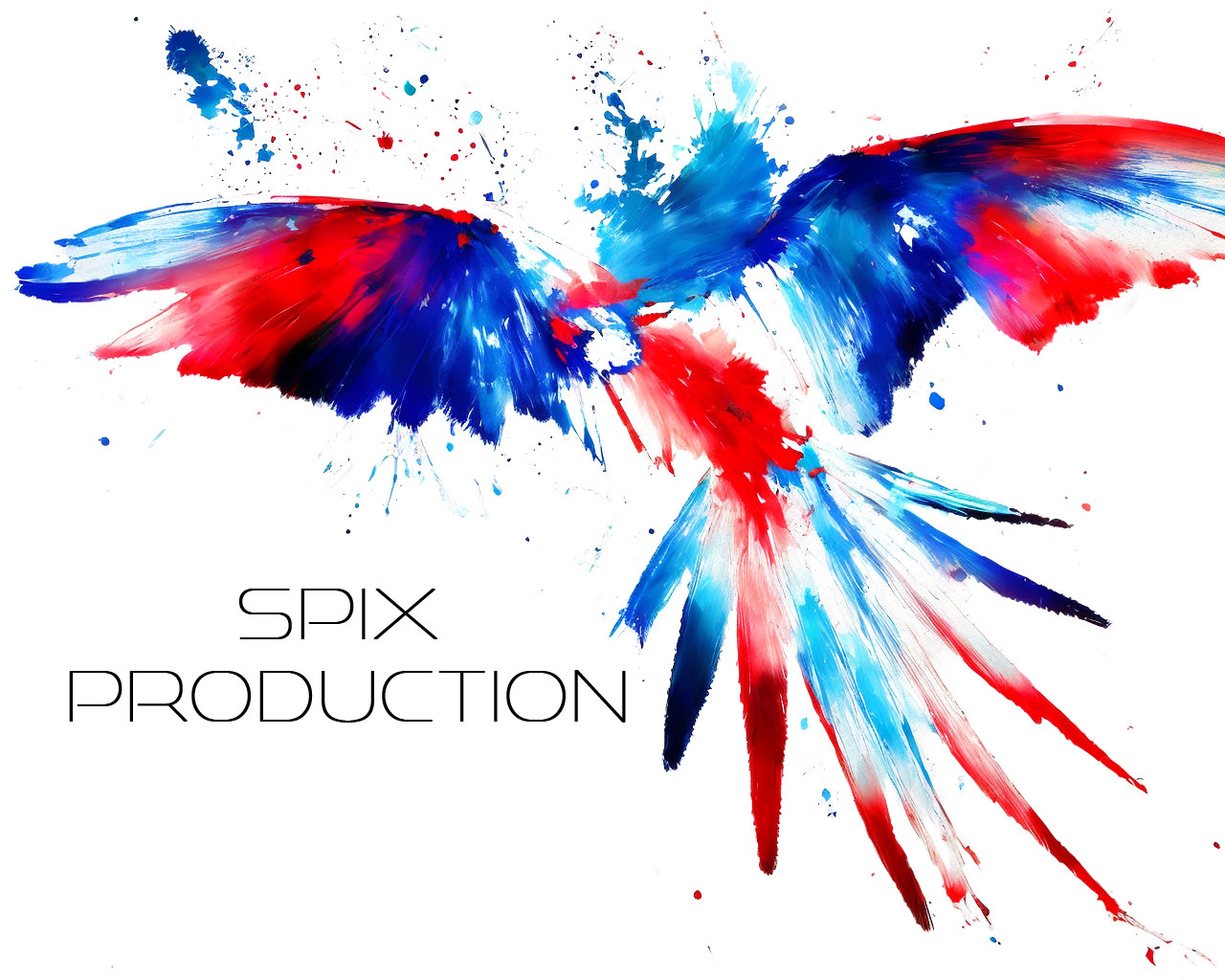 SPIX PRODUCTION PAITRAULT