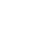 SUBS AND WUBS