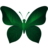 BOREALISBRAIN AS