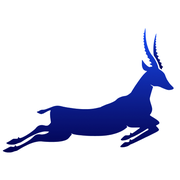 GAZELLE TECHNOLOGIES AB
