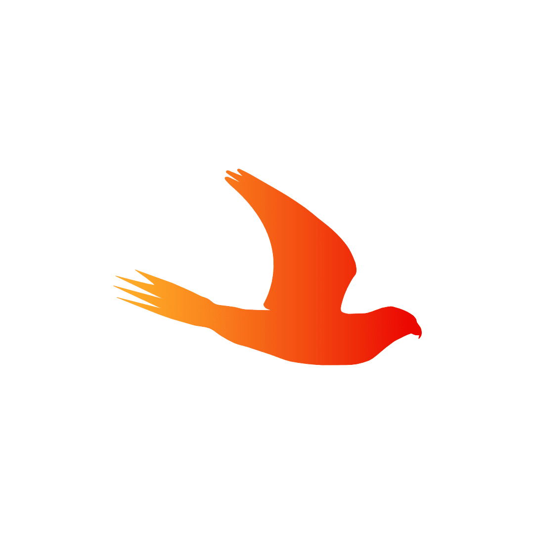 ODDEN MULTIMEDIA