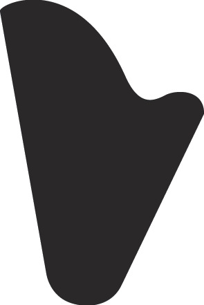 BISPEHAUGEN UNGDOMSKORPS