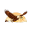 TATERNES LANDSFORENING