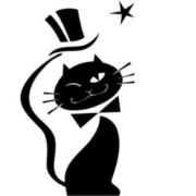 CHAT NOIR AS