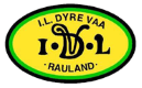 IDRETTSLAGET DYRE VAA