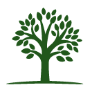 TRYGG ØKONOMI AS