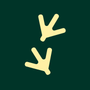 NORSK KYLLING AS