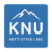 KVISVIK NETTUTVIKLING
