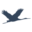 INTERNATIONAL SOCIETY FOR HEALT AND HUMAN RIGHTS