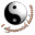 YIN YANG COACHING CONG ZHAO
