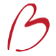 BRAGE MEDICAL AS