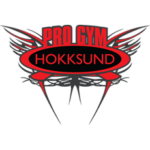 PRO GYM HOKKSUND AS