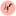 HOCUS FOCUS AS