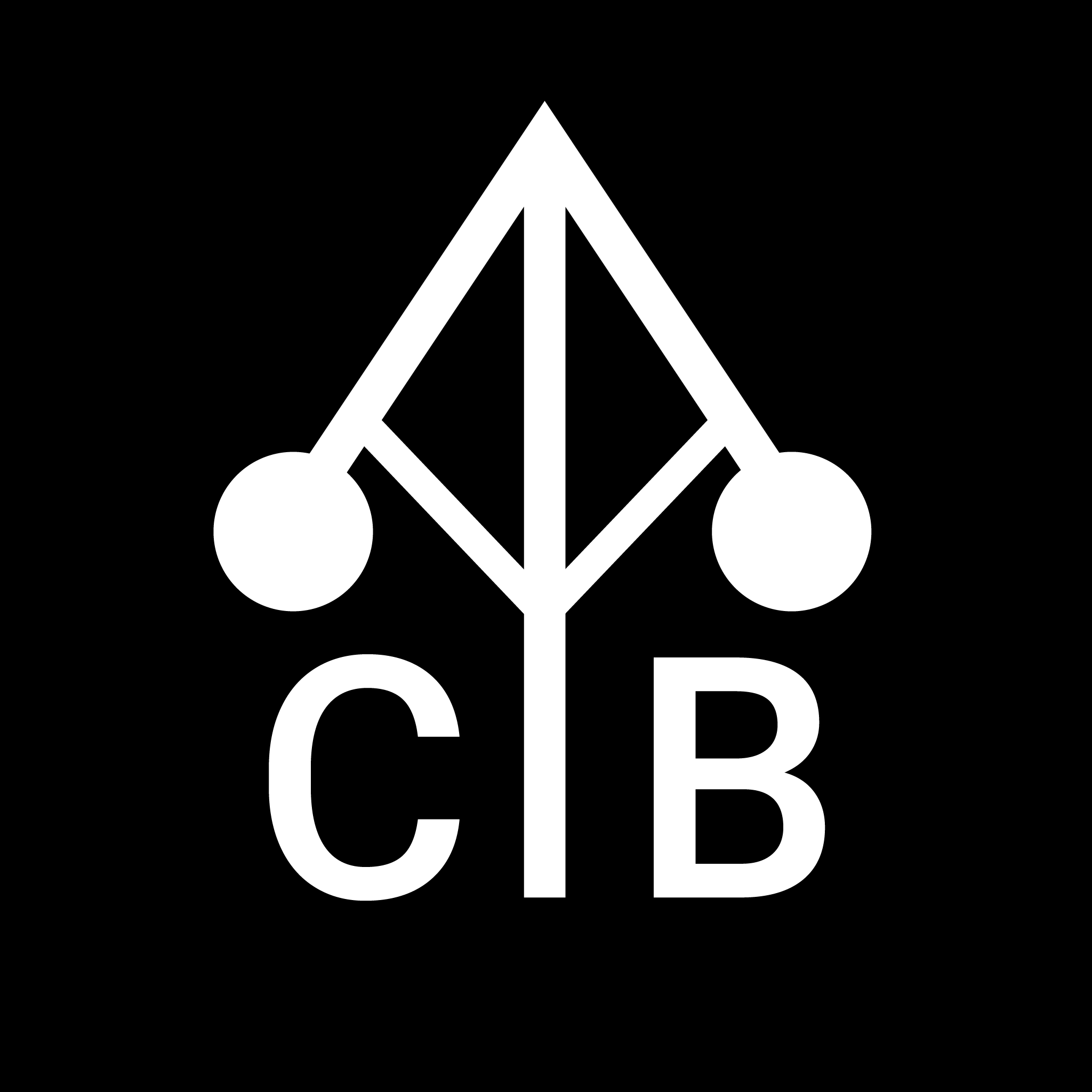 CYBERNETISK SELSKAB