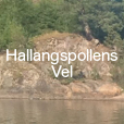 HALLANGSPOLLENS VEL