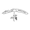 NEBBIOLO WINES AS