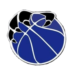 OPPSAL BASKET
