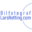 NETTING CONSULTING