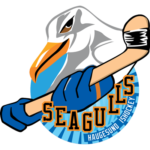 HAUGESUND ISHOCKEYKLUBB